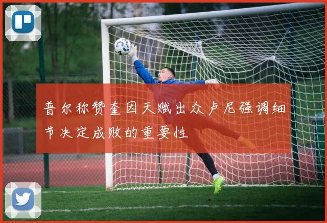 普尔称赞奎因天赋出众卢尼强调细节决定成败的重要性