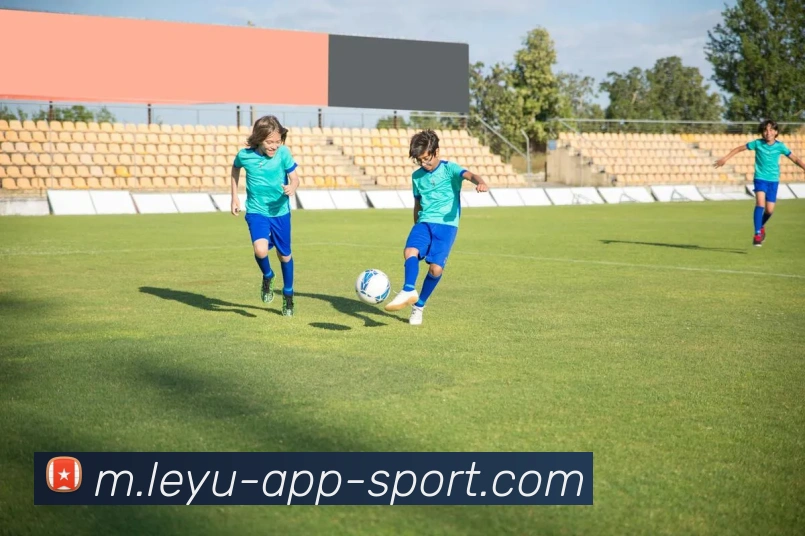 乐鱼体育平台生态图