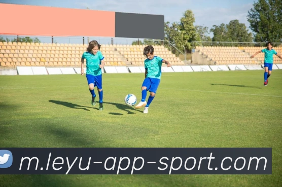 乐鱼体育APP 封面图